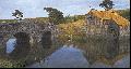 Hobbiton Mill and Bridge