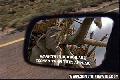 Objects in mirror